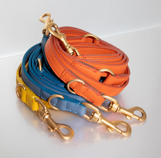MARIO LEASH