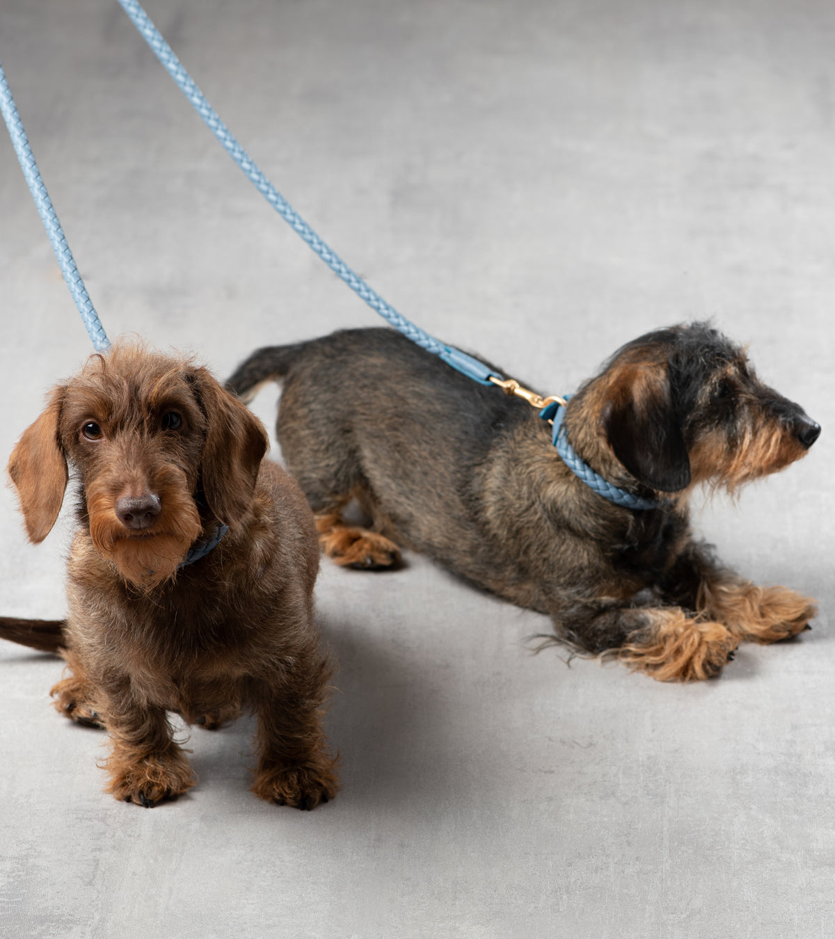 FERDINANDO - BRAIDED LEATHER LEASH