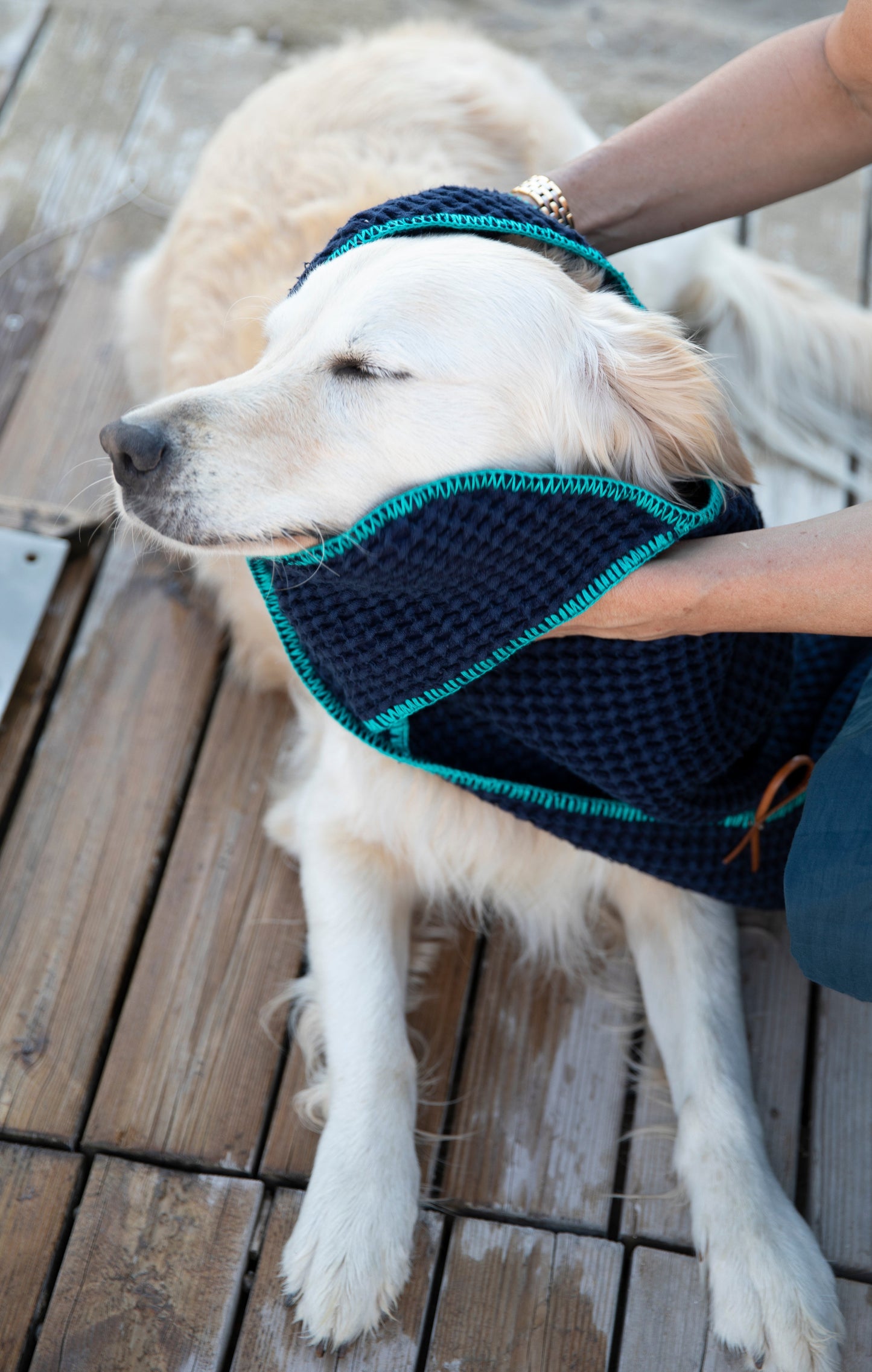SALLY - HONEYCOMB COTTON DOG TOWEL