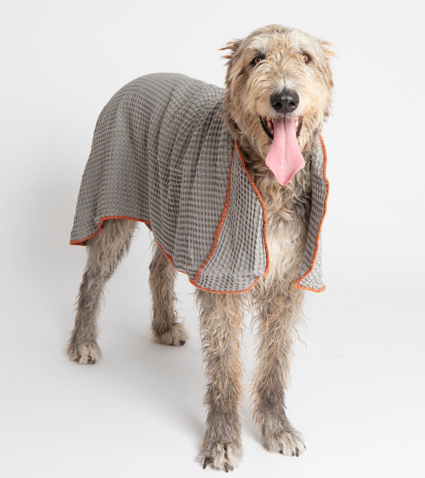 SALLY - HONEYCOMB COTTON DOG TOWEL