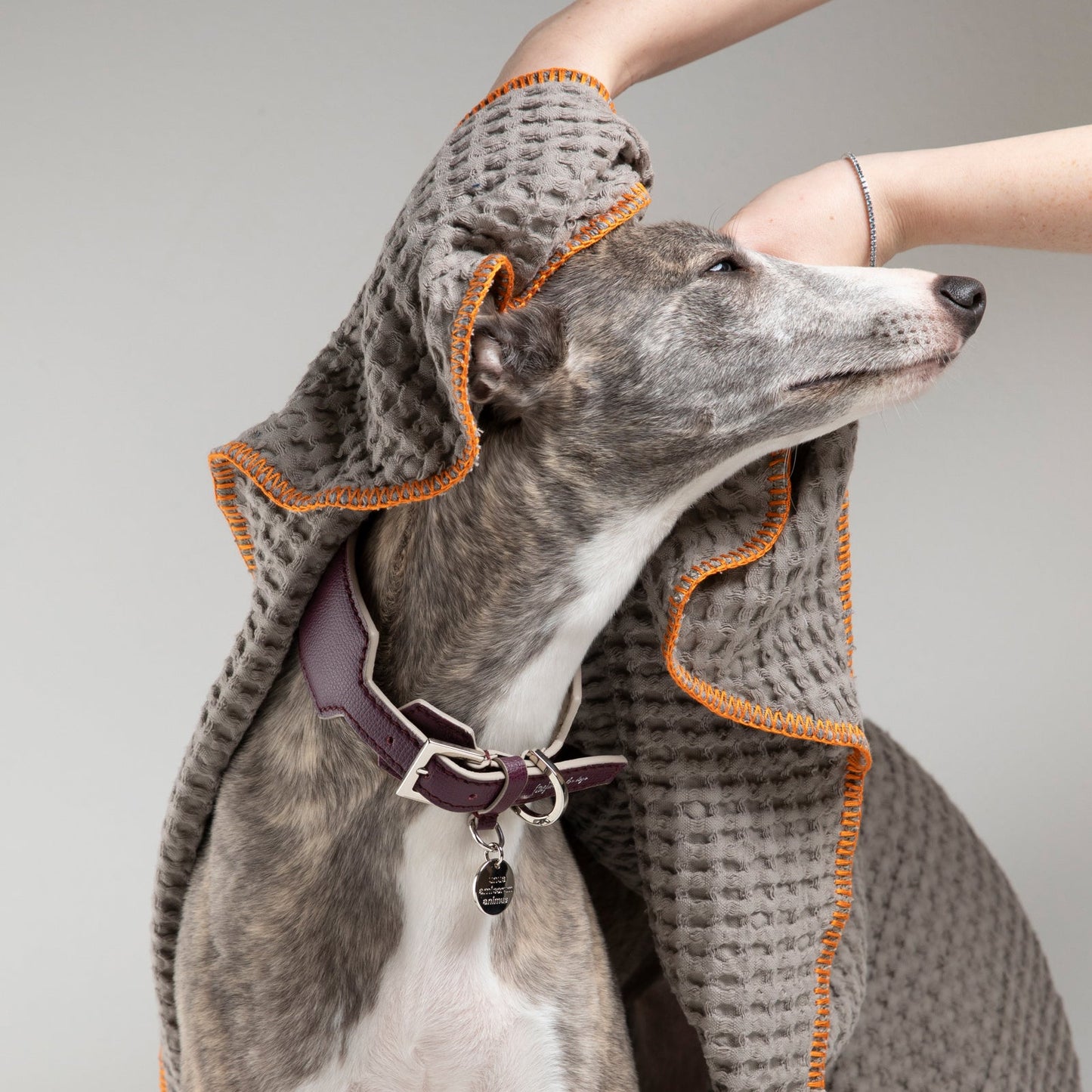 SALLY - HONEYCOMB COTTON DOG TOWEL
