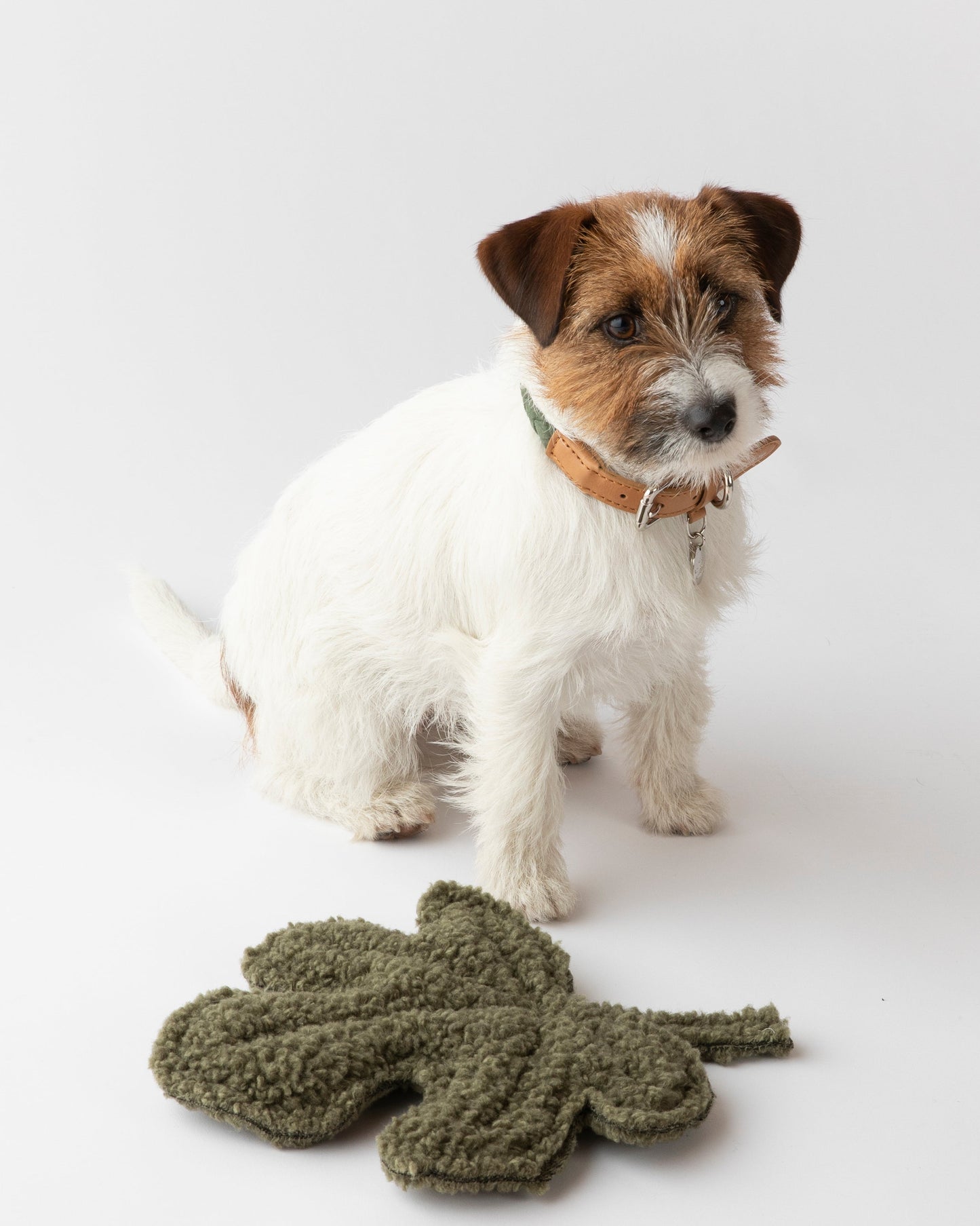 MIMMO-DOG TOY FIG
