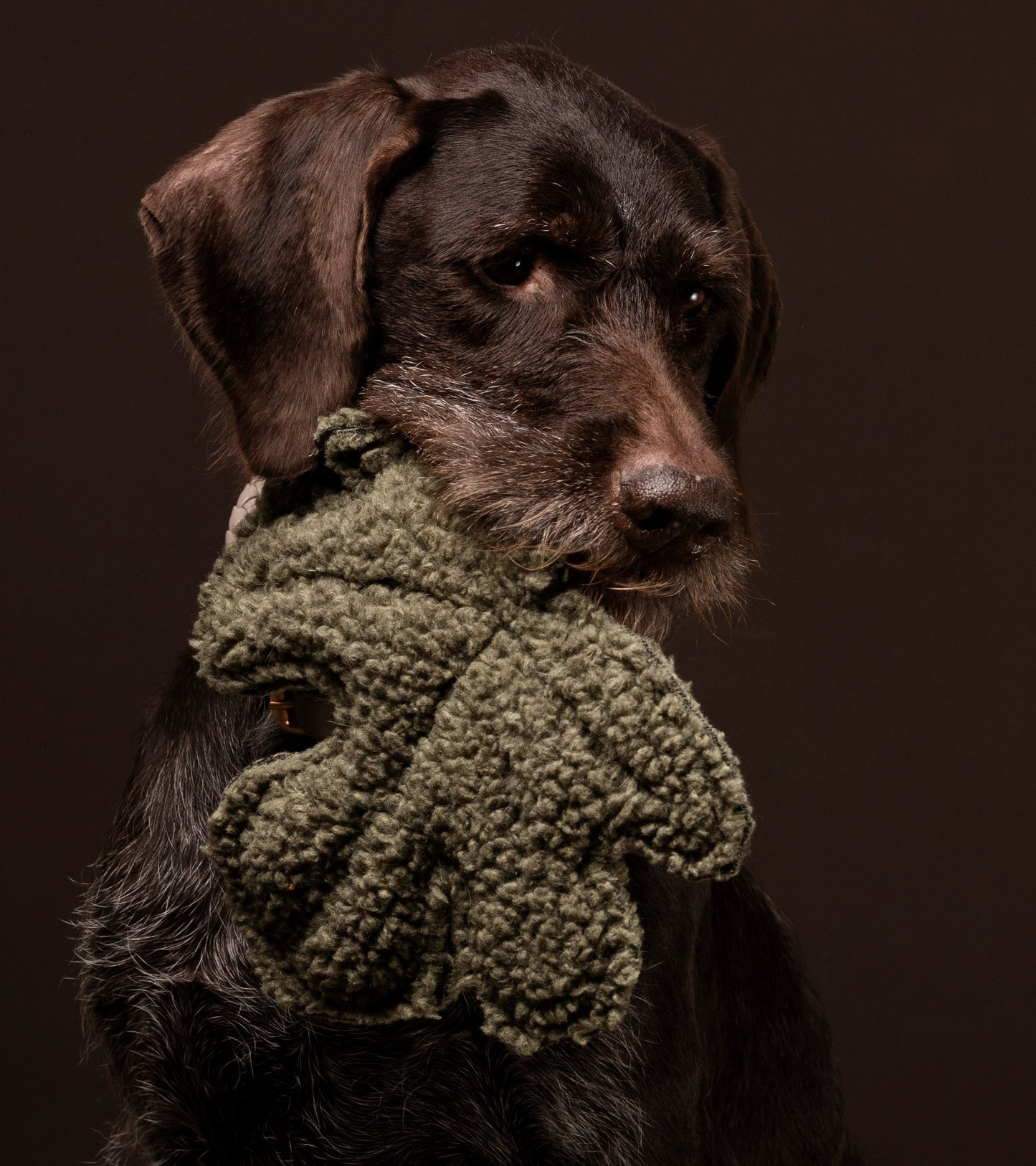 MIMMO-DOG TOY FIG