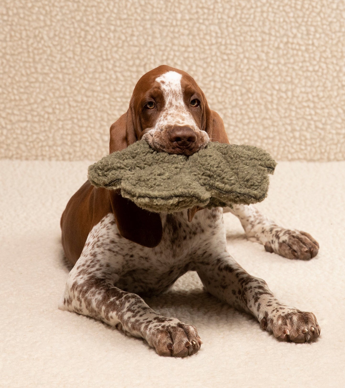 MIMMO-DOG TOY FIG