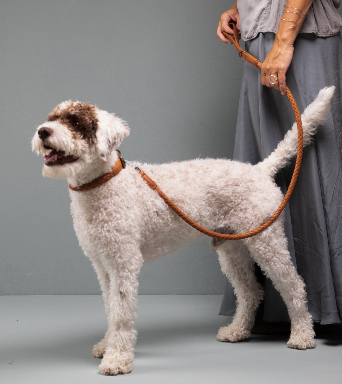 FERDINANDO - BRAIDED LEATHER LEASH