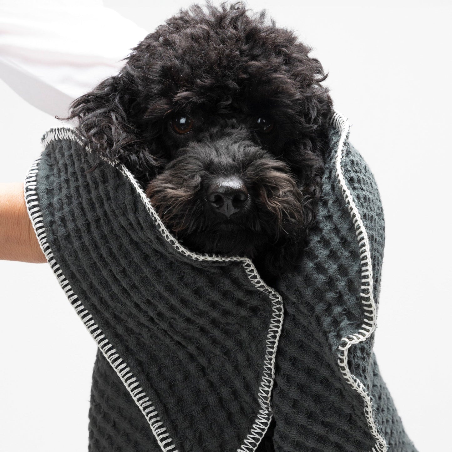 SALLY DOTTO BY PAOLA NAVONE - DOG TOWEL