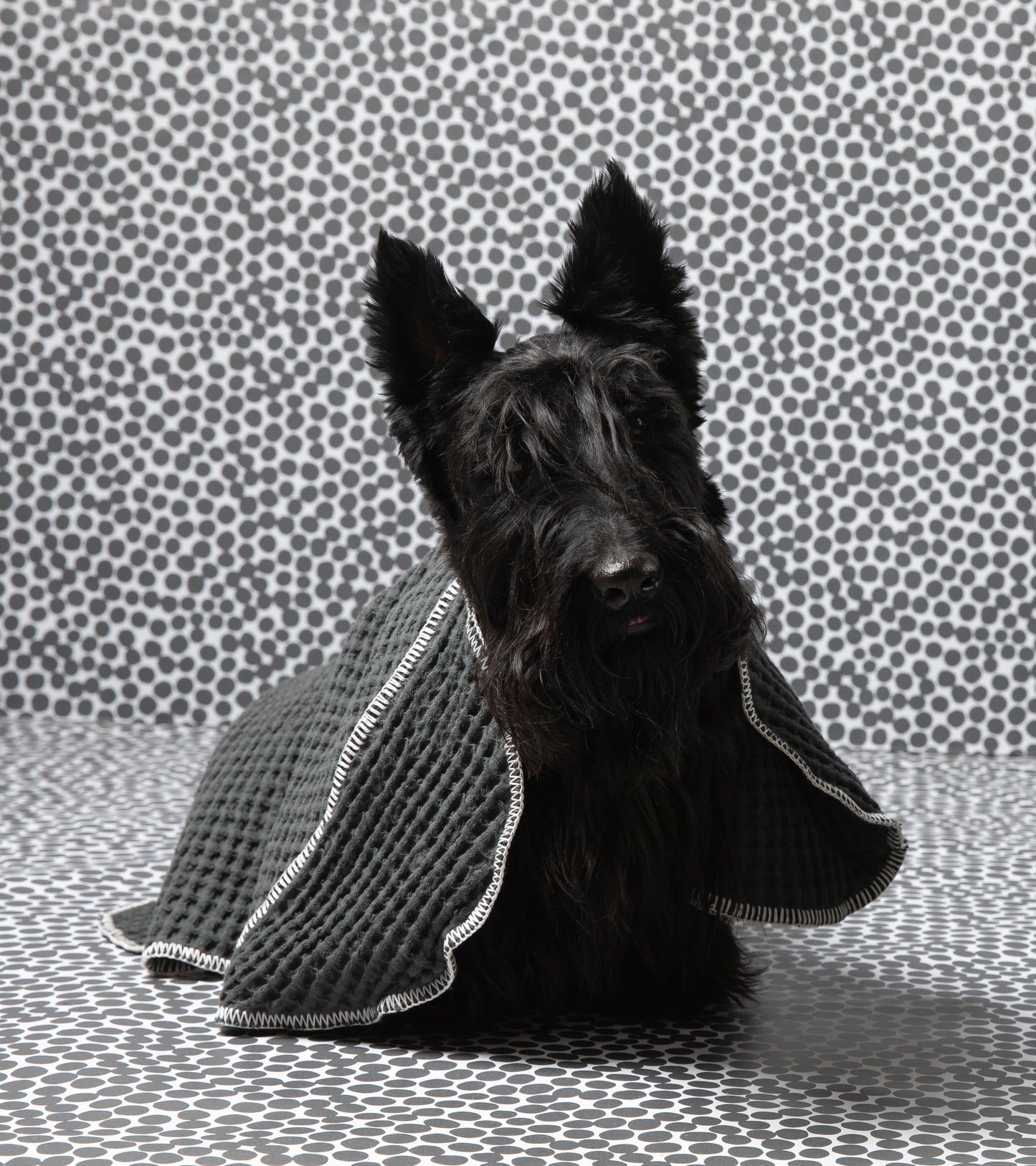 SALLY DOTTO BY PAOLA NAVONE - DOG TOWEL