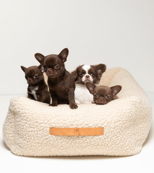 HENRI BOUCLE WOOL