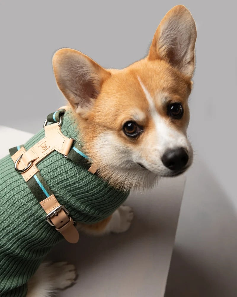 PAUL – MERINO WOOL DOG SWEATER