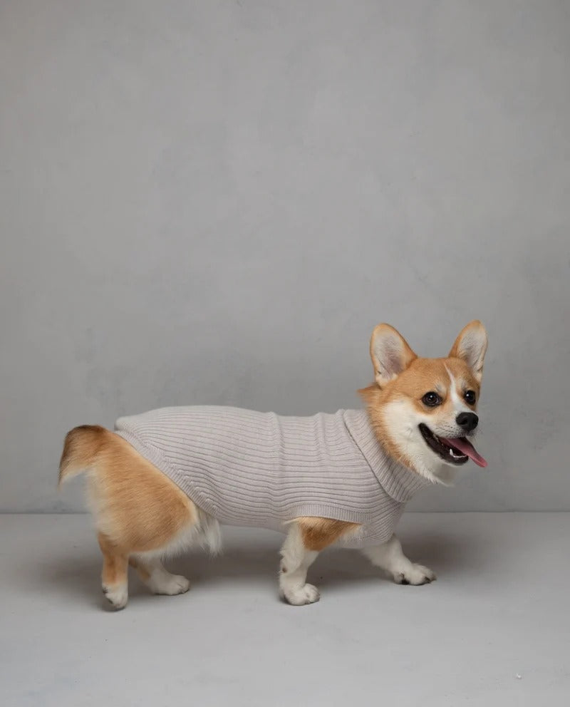 PAUL – MERINO WOOL DOG SWEATER
