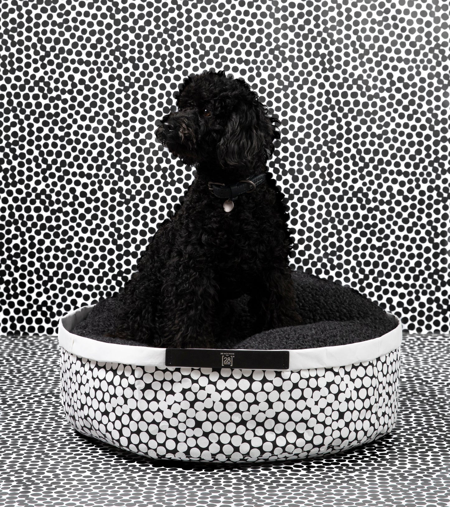 IRVING DOTTO BY PAOLA NAVONE-PAPER CUSHION