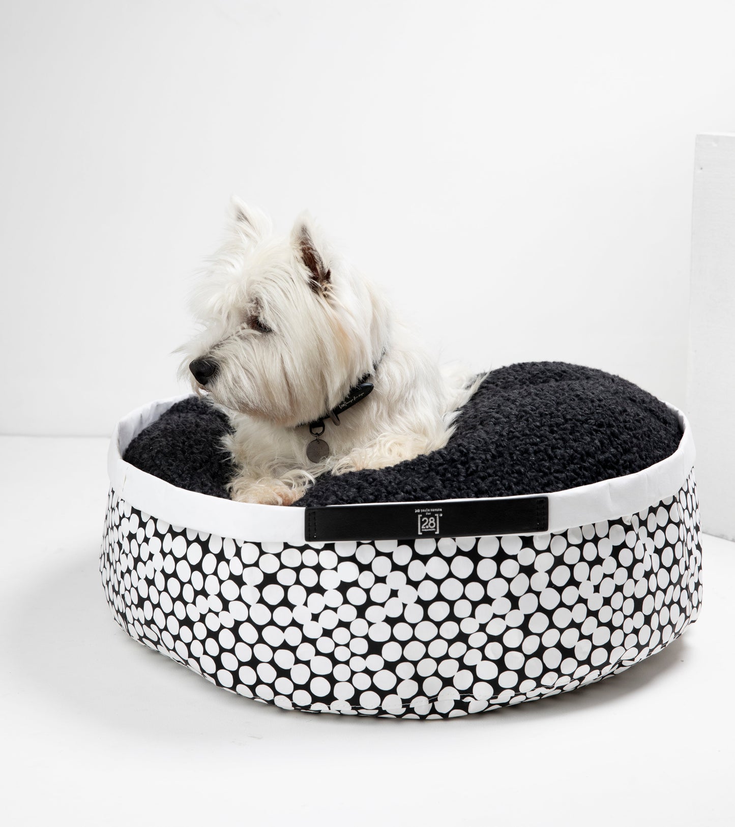 IRVING DOTTO BY PAOLA NAVONE-PAPER CUSHION