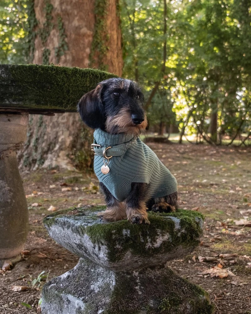 PAUL – MERINO WOOL DOG SWEATER