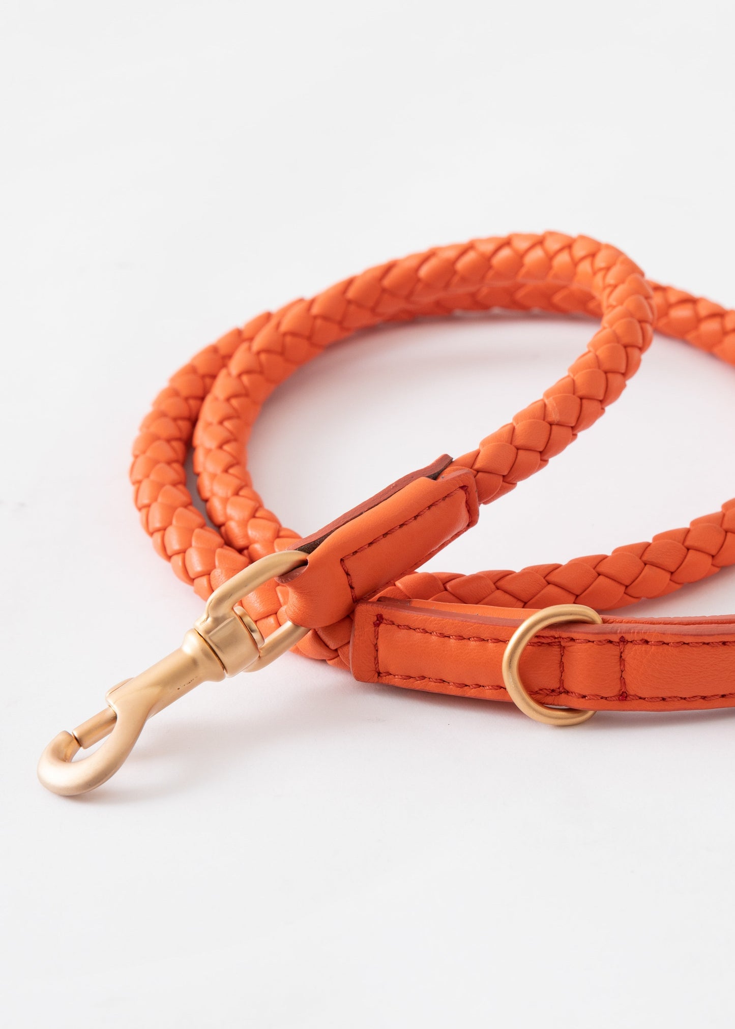 FERDINANDO - BRAIDED LEATHER LEASH