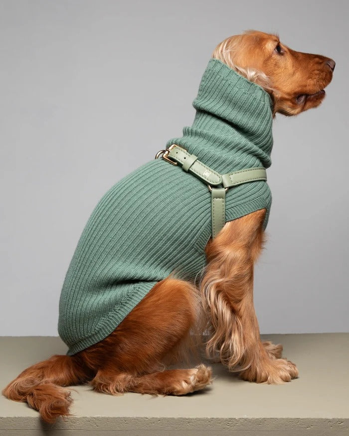 PAUL – MERINO WOOL DOG SWEATER