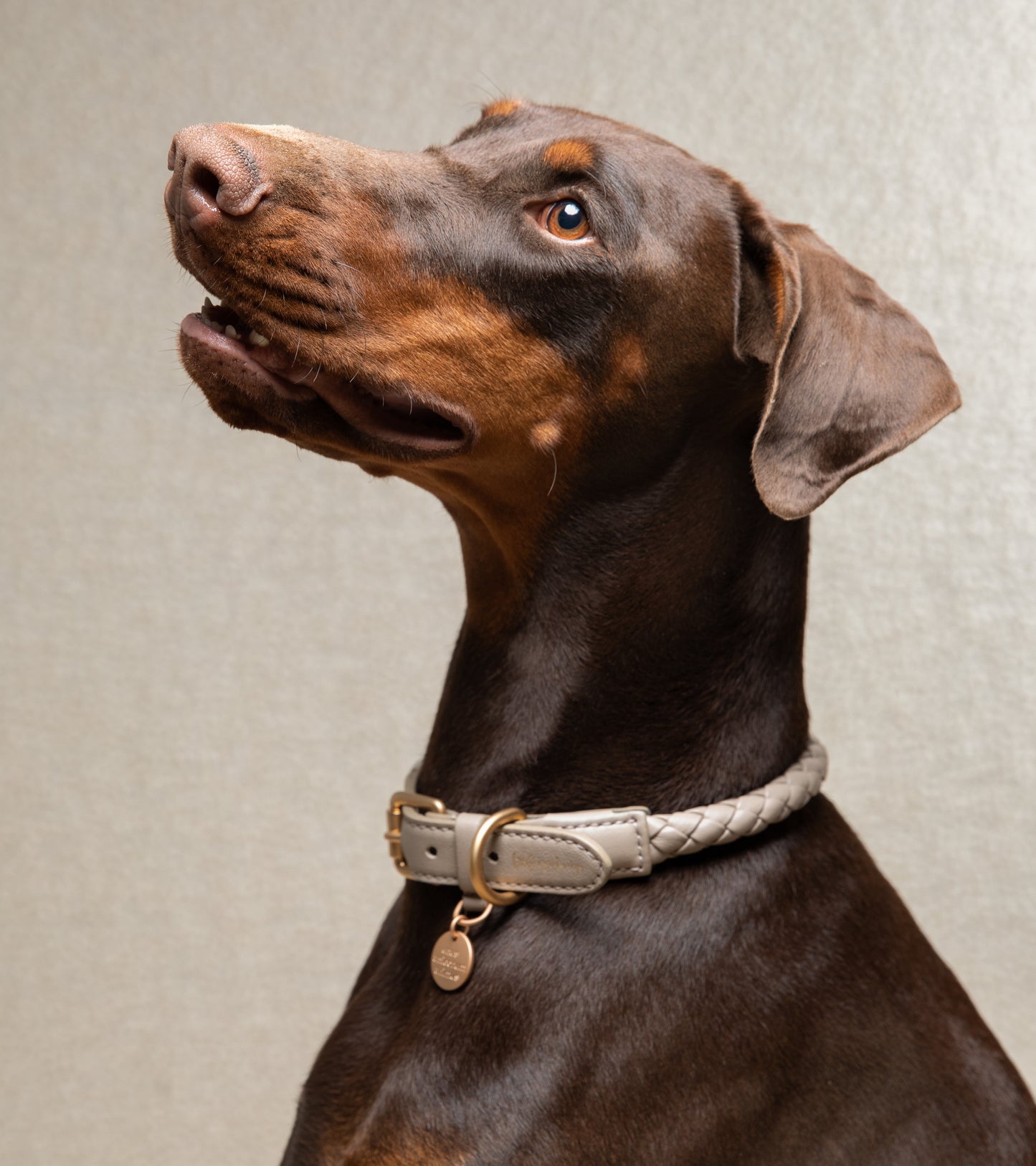 FERDINANDO - COLLAR
