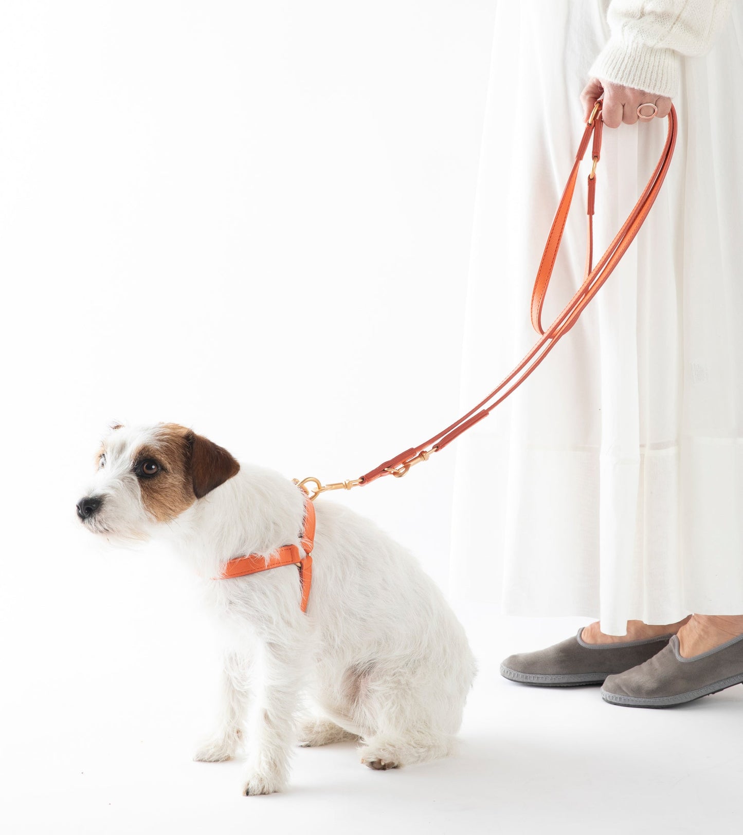 MARIO LEASH