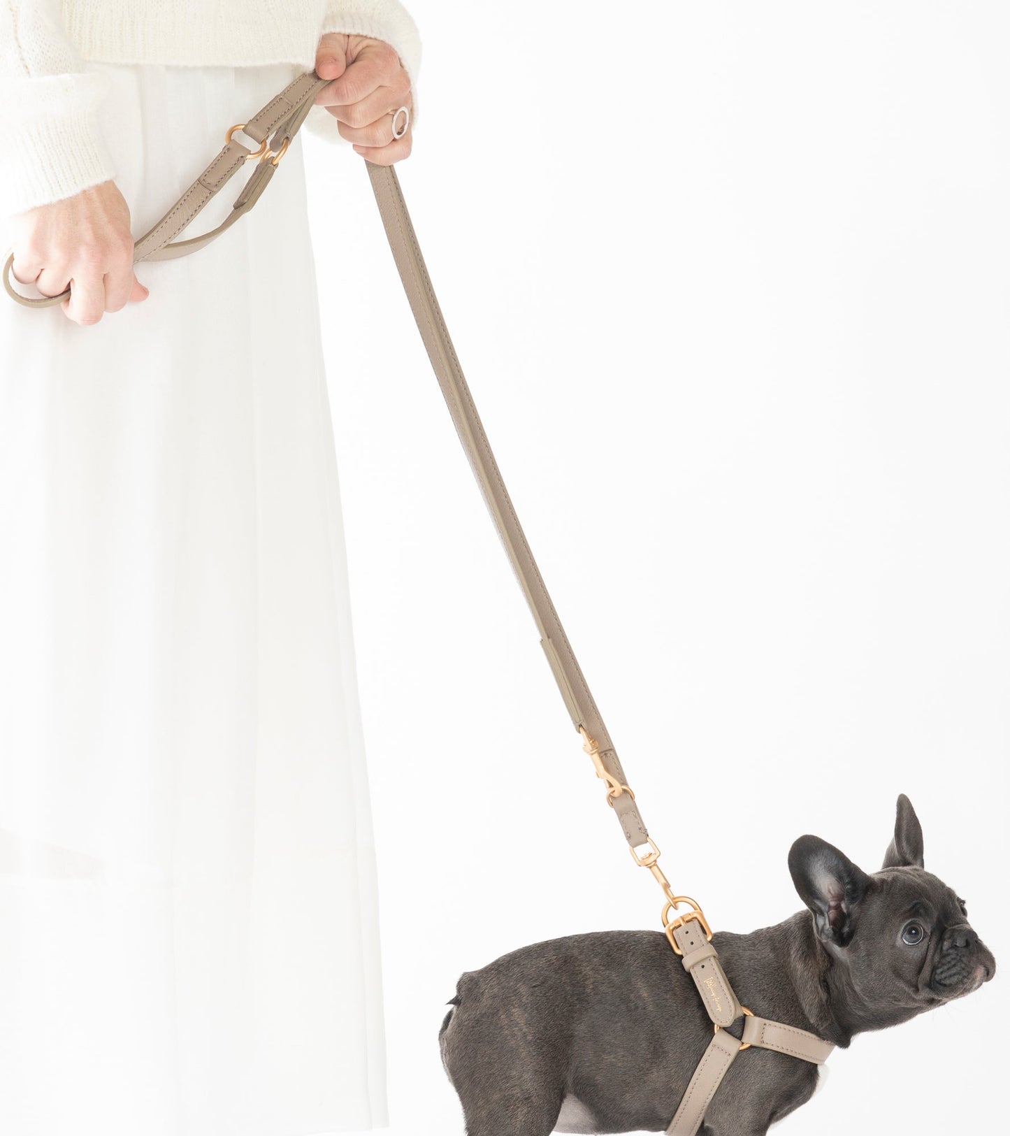 MARIO LEASH