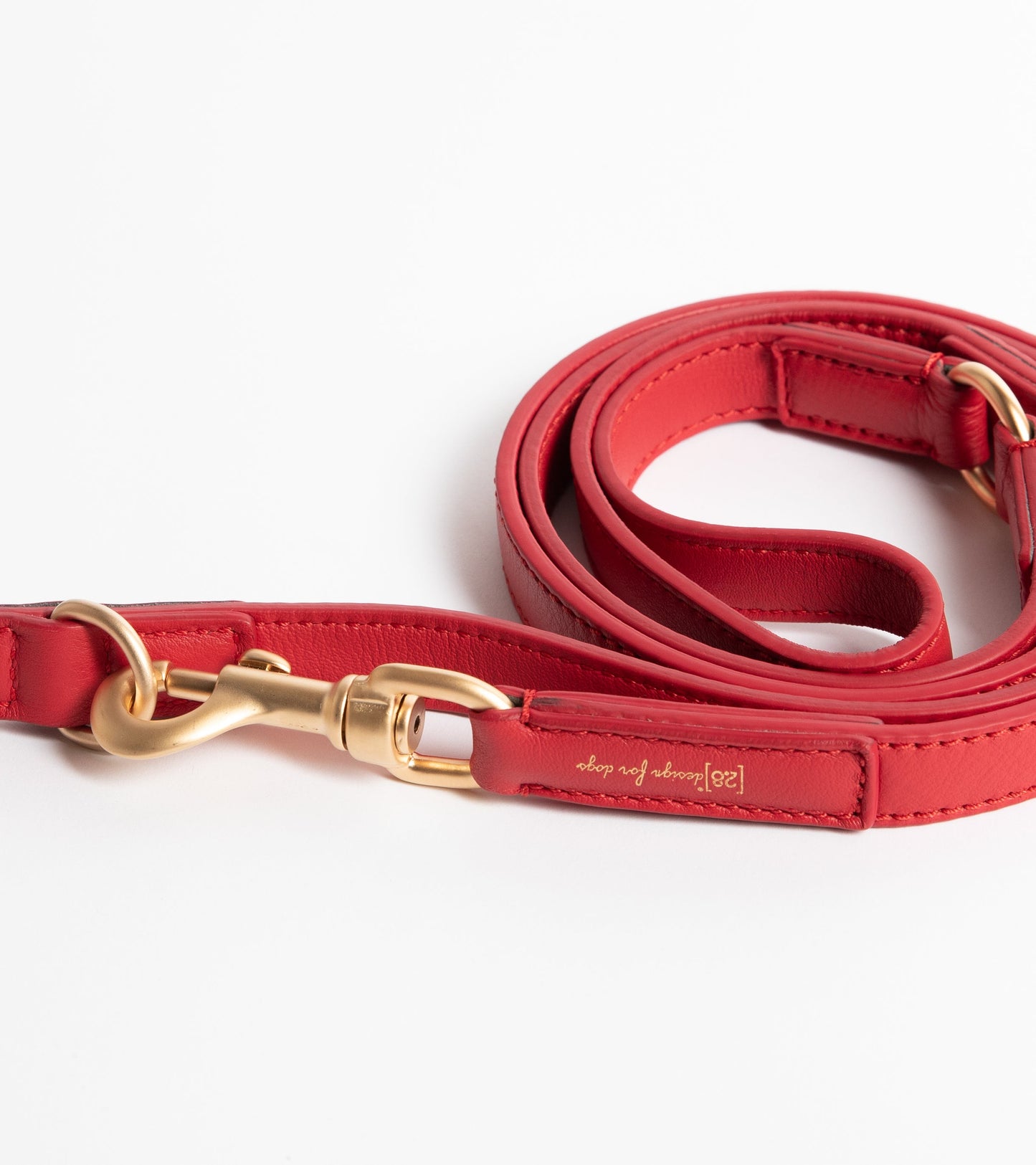 MARIO LEASH