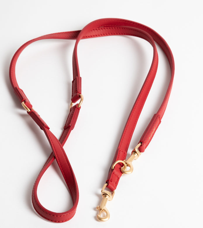 MARIO LEASH