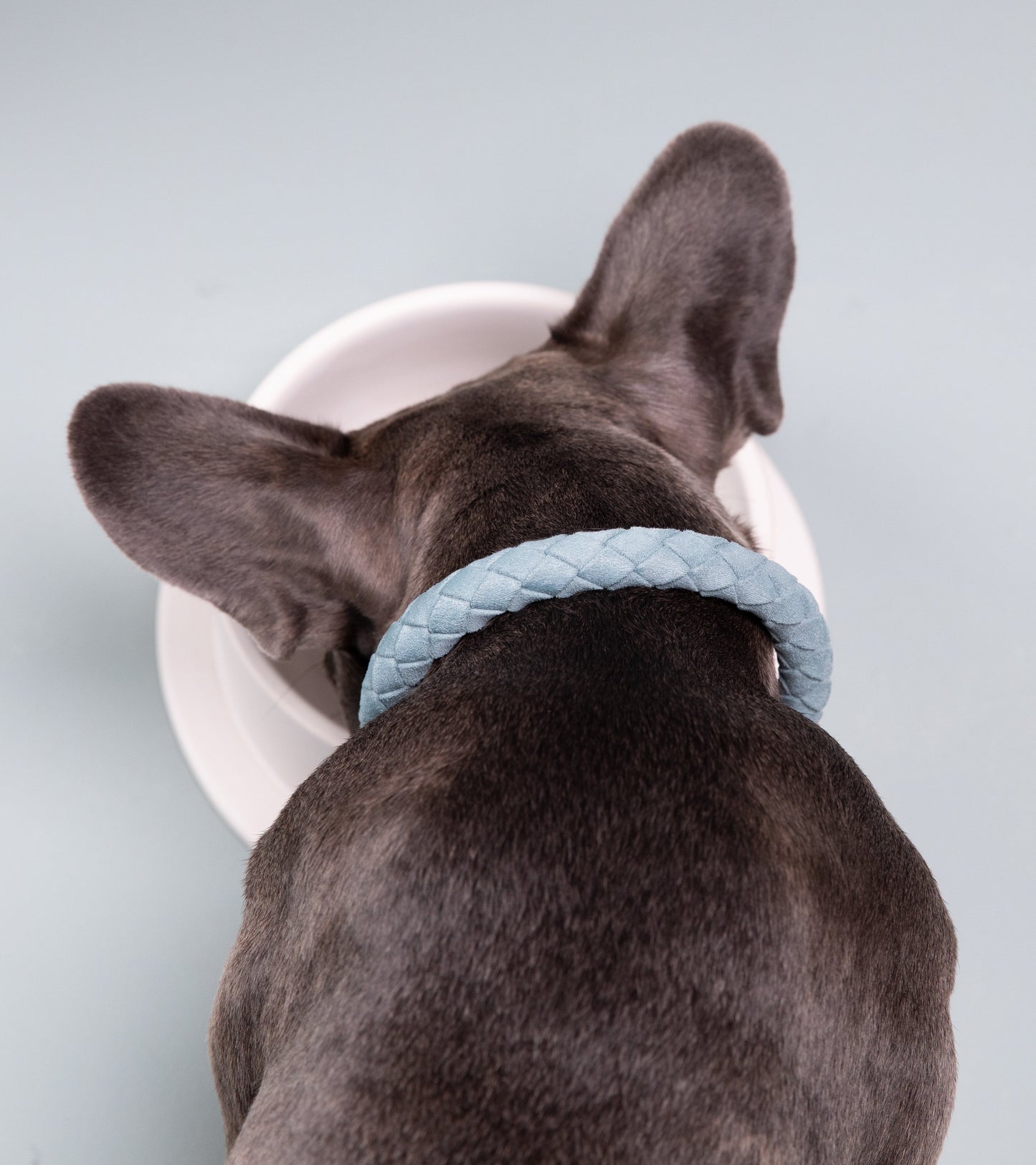 FERDINANDO - COLLAR IN MICROFIBER