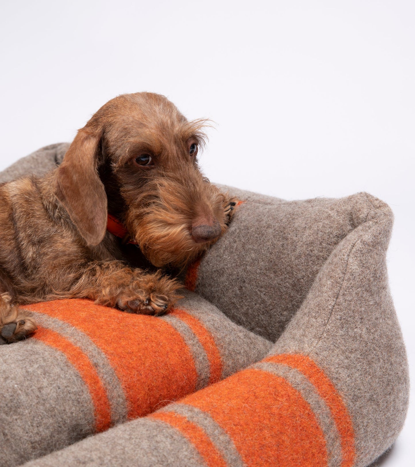 HENRI RECYCLED WOOL